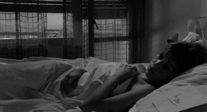 La parmigiana (1963) with English Subtitles on DVD - Image 4