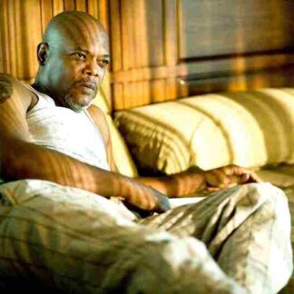 Lakeview Terrace (2008) Starring Samuel L. Jackson on DVD