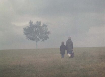 Landscape in the Mist (1988) with English Subtitles on DVD - Image 4