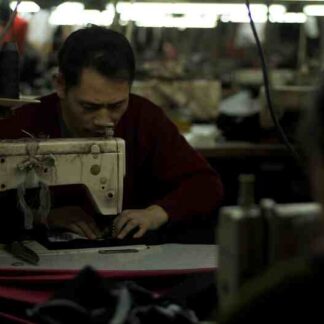 Last Train Home (2009) with English Subtitles on DVD