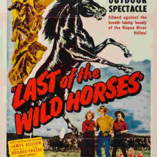 Last of the Wild Horses (1948) Starring James Ellison on DVD