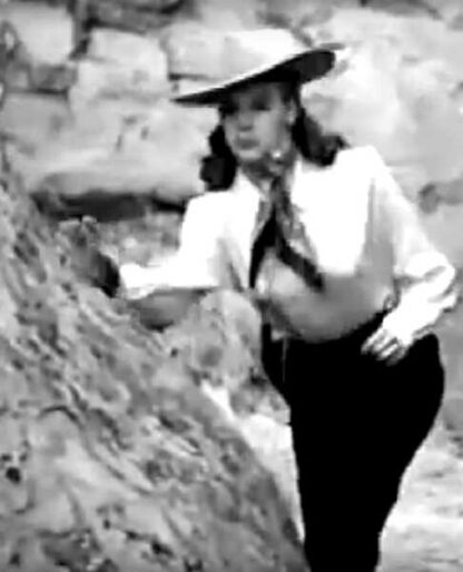 Law of the Canyon (1947) Starring Charles Starrett on DVD - Image 3