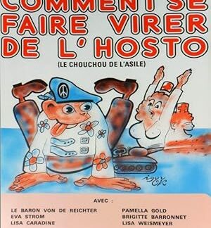 Le chouchou de l'asile (1979) DVD