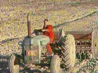 Le retour à la terre (1976) with English Subtitles on DVD - Image 5