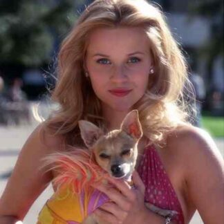 Legally Blonde (2001) Starring Reese Witherspoon on DVD
