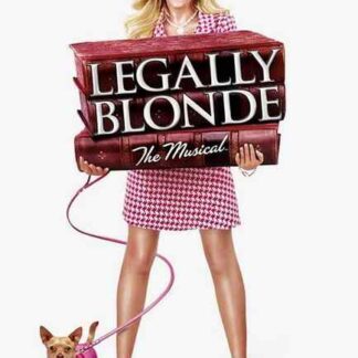 Legally Blonde: The Musical (2007) Starring Laura Bell Bundy on DVD