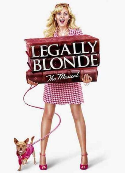 Legally Blonde: The Musical (2007) Starring Laura Bell Bundy on DVD