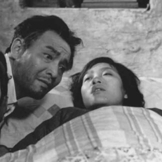 Legend of Tianyun Mountain (1980) with English Subtitles on DVD