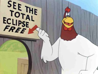 Leghorn Swoggled (1951) Starring Mel Blanc on DVD - Image 4
