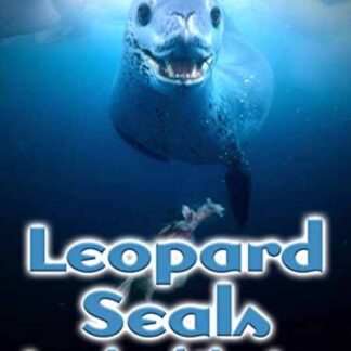 Leopard Seals: Lords of the Ice (2002) Starring Jack Fortune on DVD