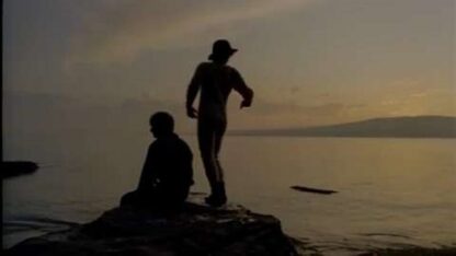 Les fous de Bassan (1987) with English Subtitles on DVD - Image 2