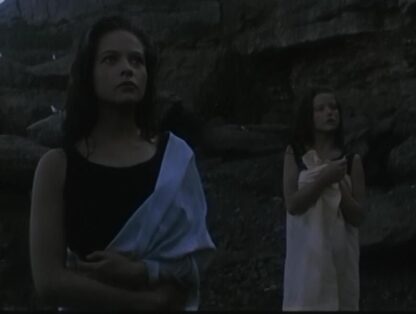Les fous de Bassan (1987) with English Subtitles on DVD - Image 3