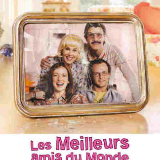 Les meilleurs amis du monde (2010) with English Subtitles on DVD