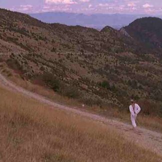 Les naufragés de la D17 (2002) with English Subtitles on DVD