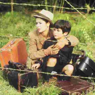 Les violons du bal (1974) with English Subtitles on DVD