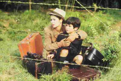 Les violons du bal (1974) with English Subtitles on DVD