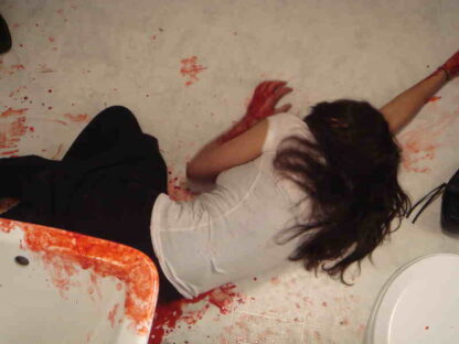Let Me Die Quietly (2009) Starring Charles Casillo on DVD - Image 3