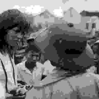 Letter to Jane: An Investigation About a Still (1972) with English Subtitles on DVD