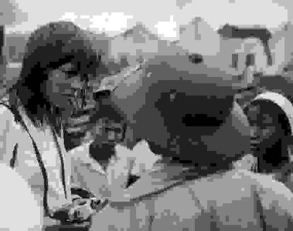 Letter to Jane: An Investigation About a Still (1972) with English Subtitles on DVD