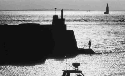 Liberté, la nuit (1984) with English Subtitles on DVD