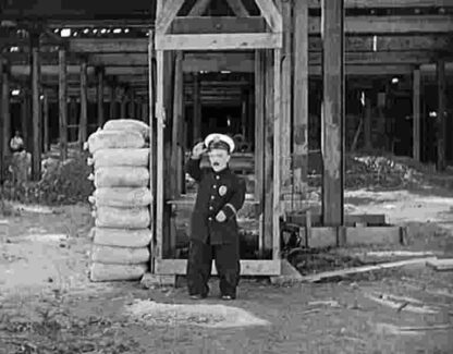 Liberty (1929) Starring Stan Laurel on DVD - Image 4