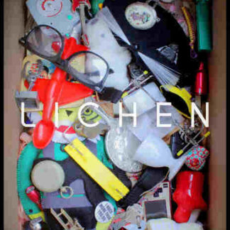 Lichen (2012) Starring Akos Armont on DVD