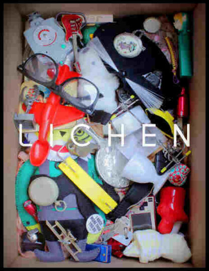 Lichen (2012) Starring Akos Armont on DVD - Image 5