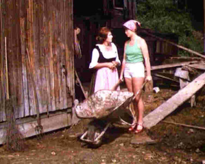 Liebesgrüße aus der Lederhose II. Teil: Zwei Kumpel auf der Alm (1974) with English Subtitles on DVD - Image 3