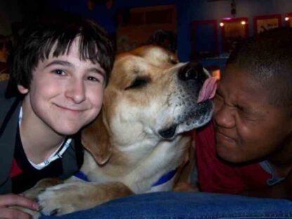 Life Is Ruff (2005) Starring Kyle Massey on DVD - Image 2