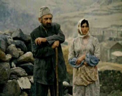Life Triumphs (1977) with English Subtitles on DVD