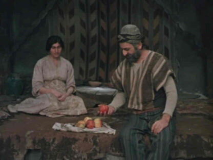 Life Triumphs (1977) with English Subtitles on DVD - Image 4