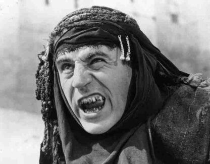 Life of Brian (1979) Starring Graham Chapman on DVD - Image 4