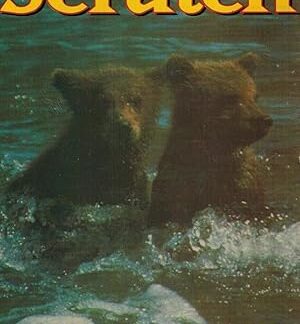 Li'l Scratch (1972) DVD