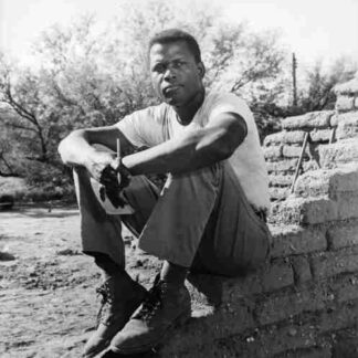 Lilies of the Field (1963) Starring Sidney Poitier on DVD