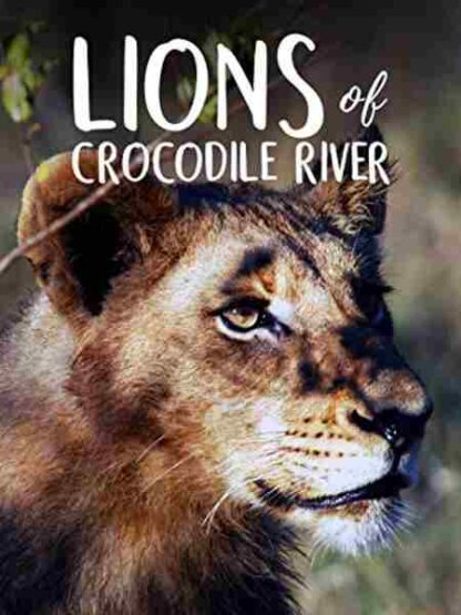 Lions of Crocodile River (2007) Starring  on DVD