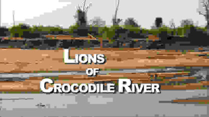 Lions of Crocodile River (2007) Starring  on DVD - Image 3