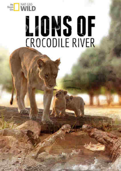 Lions of Crocodile River (2007) Starring  on DVD - Image 5