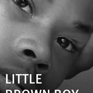 Little Brown Boy (2003) Starring DeQynn Gibson on DVD