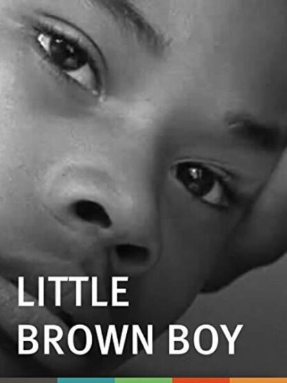 Little Brown Boy (2003) Starring DeQynn Gibson on DVD - Image 2