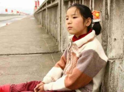 Little Moth (2007) with English Subtitles on DVD - Image 3