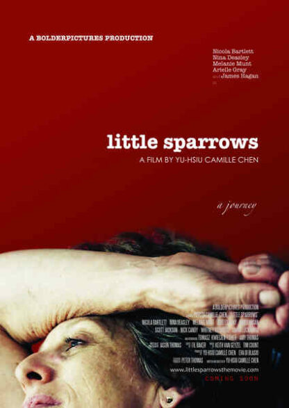 Little Sparrows (2010) Starring Nicola Bartlett on DVD - Image 5