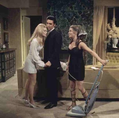Live a Little, Love a Little (1968) Starring Elvis Presley on DVD