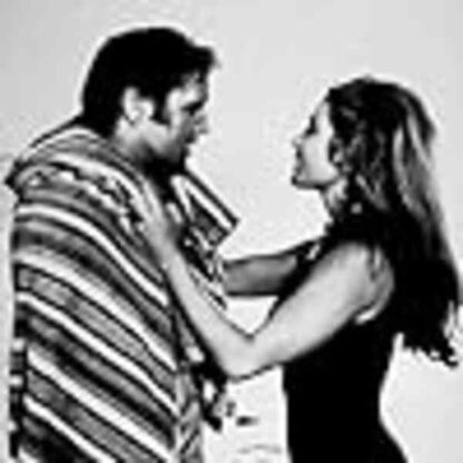Live a Little, Love a Little (1968) Starring Elvis Presley on DVD - Image 3