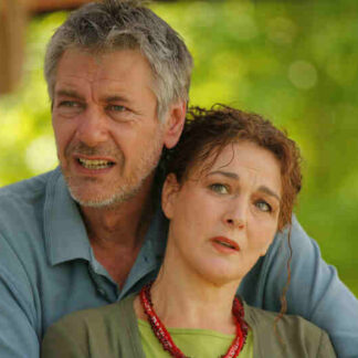 Logodnicii din America (2007) with English Subtitles on DVD