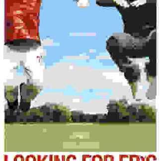 Looking for Eric (2009) Starring Steve Evets on DVD