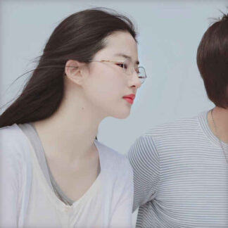 Love in Disguise (2010) with English Subtitles on DVD