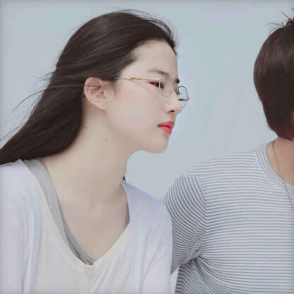 Love in Disguise (2010) with English Subtitles on DVD