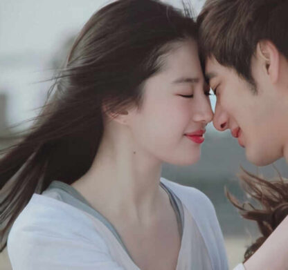 Love in Disguise (2010) with English Subtitles on DVD - Image 3