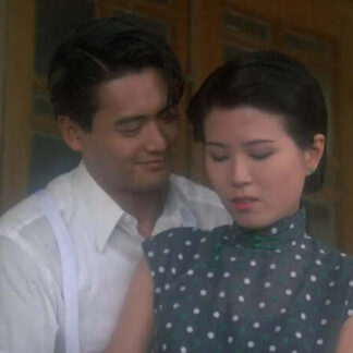 Love in a Fallen City (1984) with English Subtitles on DVD