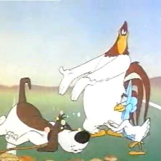 Lovelorn Leghorn (1951) Starring Mel Blanc on DVD